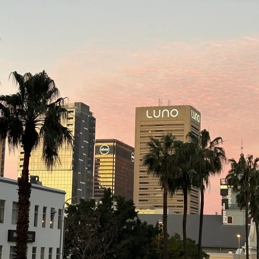 Cape Town city skyline at dusk framed by palms